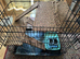 Foldable cage/playpen for pets