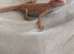 7 week old hypo