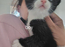 Not ready yet loving forever homes only