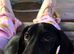 10 month old for rehome