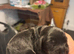 Fully heath and genetically tested F2 cockapoos - only one beautiful black boy available