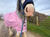 Sad sale of our super pony