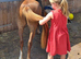 4yo 11.2hh registered mare
