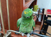12-year-old Green Amazon Parrot