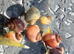 3x Mystery Snails Purple Magenta, Blue, Ivory, available