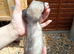 Baby ferrets