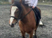 Kids pony can be led by any tot