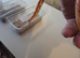 4 year old corn snake