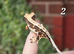 Various crested geckos