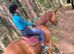 Smart gelding