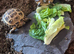 Baby Horsfield (Russian) Tortoise For Sale