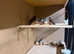 Zebra Finches