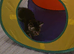 Male kitten looking for a good home