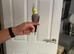 Hand Tame male cockatiel