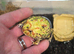 Yellow pacman frog