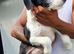 Meet PANDA - a Superb Young Boy for a Loving Home