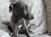 1 little girl left ready now