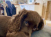 One beautiful boy available