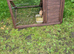 4 quail