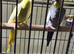 Baby cocktails