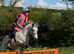REDUCED Brave Fun Welsh Section A