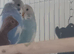 Pair of budgies for sale
