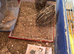 3 male cotturnix jumbo quails