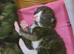Beautiful Mum and Baby