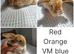 MINI PLUSH LOPS SUFFOLK