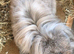 2 female rabbits