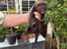 Eu ferrets