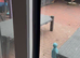 Dog and cat patio door flap