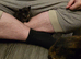 4 stunning kittens