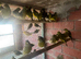 Job lot of 40 canaries