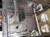 3 bengleas finches and tall cage