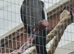 Grey male cockatiel