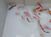 Sarasa Comet. around 3 inch. please read ad for price. nice selection