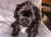 5 week old Female Shih Tzu x Lhasa Apso