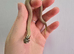 Western Hognose babies ready to go starting price £80