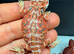 Baby bearded dragons ready for their forever homes!