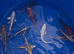 Japanese tosai koi