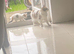 Long haired kittens 8 weeks old