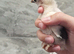 Columbian Pekin Bantam chicks