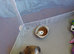 French bulldog puppy