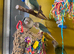 Hand tame Green Cheek Conures