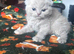 Scottish fold kittens