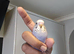 Baby budgies looking for new home, beautiful shades of voilet
