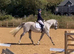 Talented Allrounder