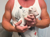 Beautiful English Bull Terrier Puppies