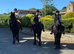 pure-bred friesan mare & foal for sale total &pound;8,000